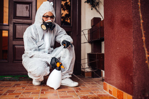 Reliable Bed Bug Control contractor in East Whittier, CA by Nex Pest Control