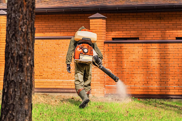 Trusted Cockroach Control service in East Whittier, CA - Nex Pest Control